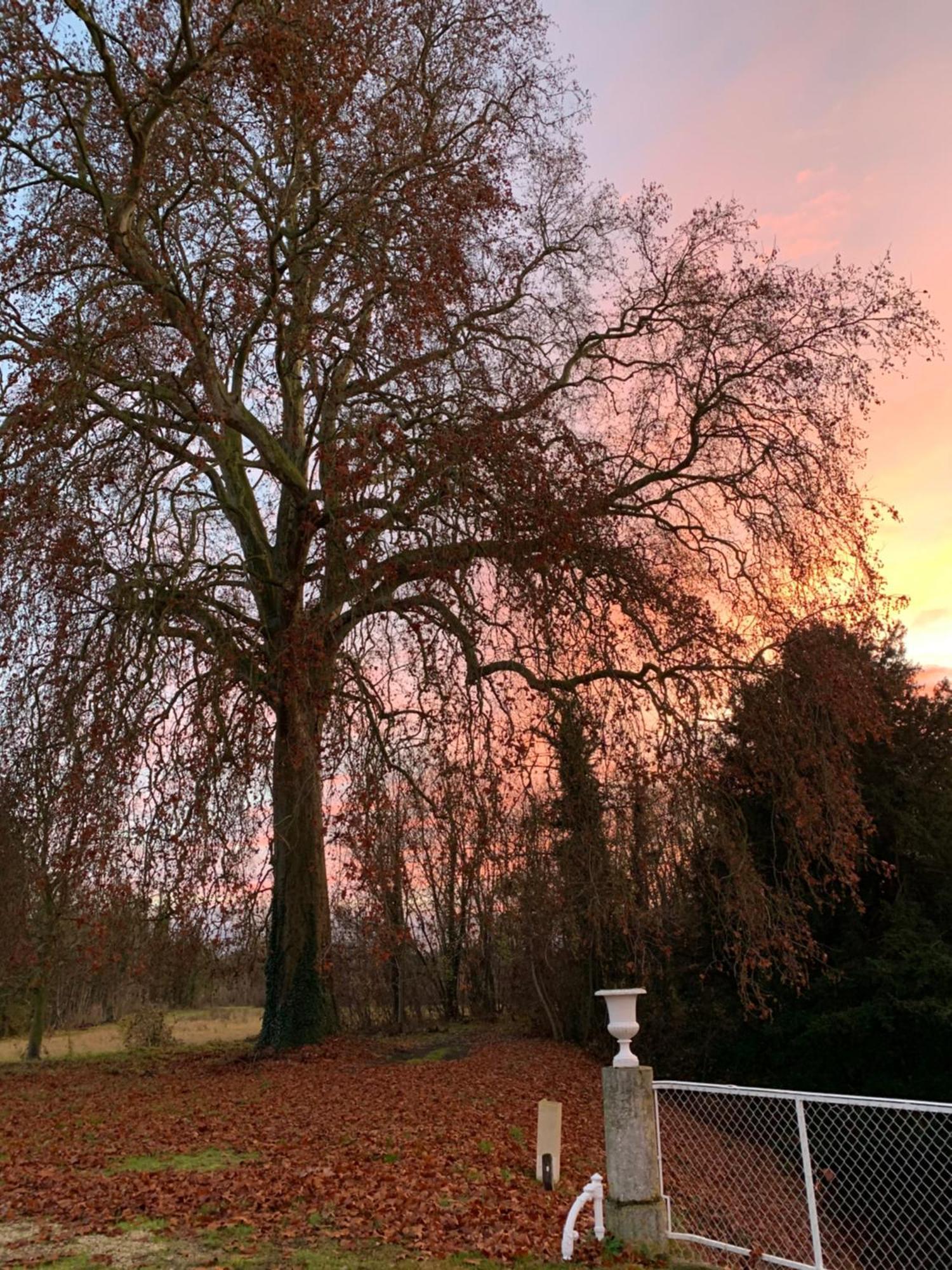 Chateau De Juvigny Dış mekan fotoğraf
